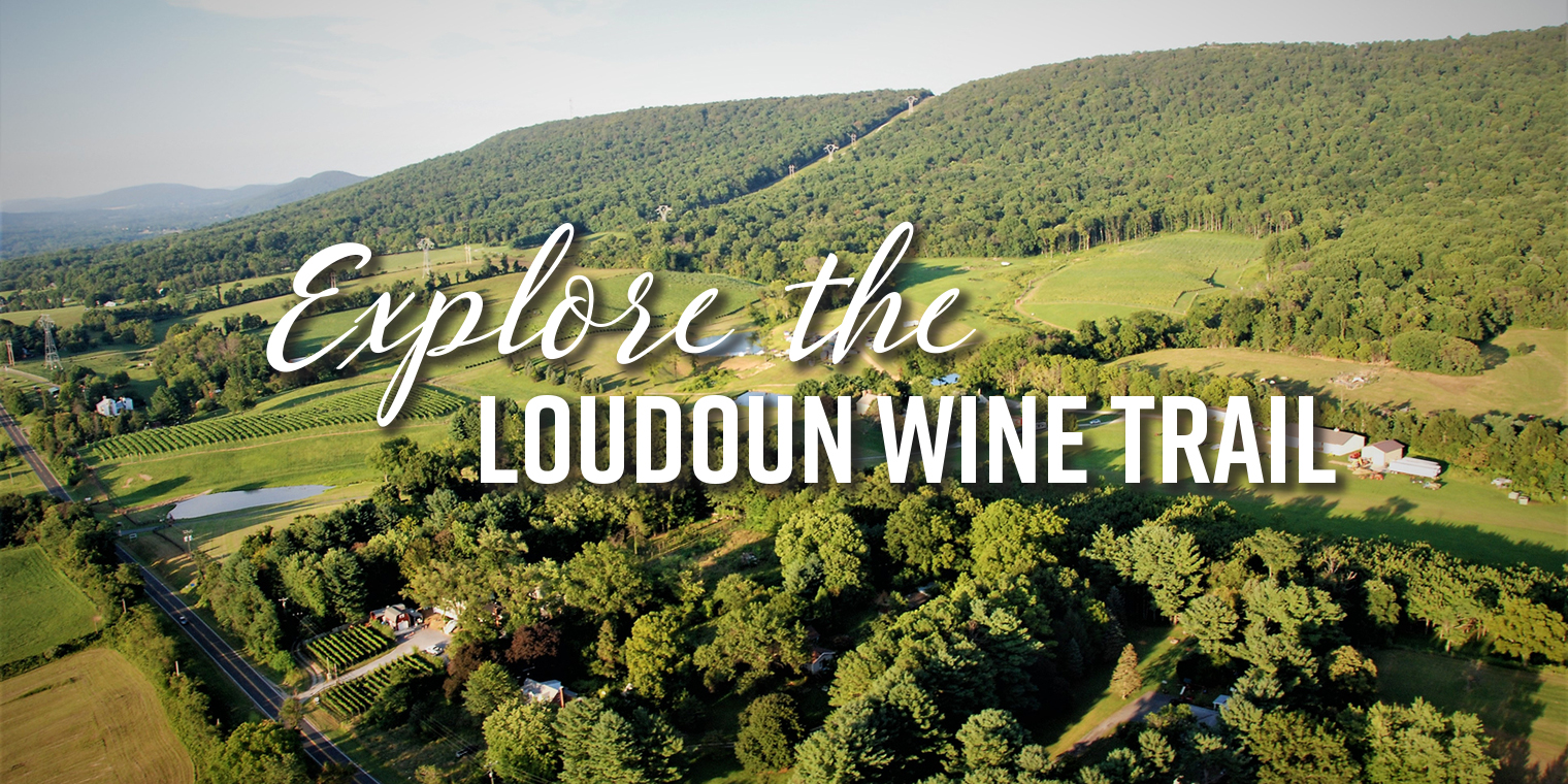 Explore the Loudoun Wine Trail